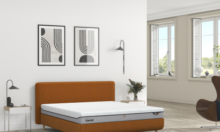 Sensory_GOLD_Pro Smart Cool_Nordic room_Angle.jpg