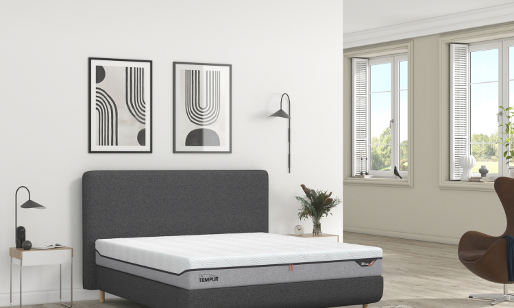 Sensory_Charcoal_Pro Plus Smart Cool_Nordic room_Angle.jpg